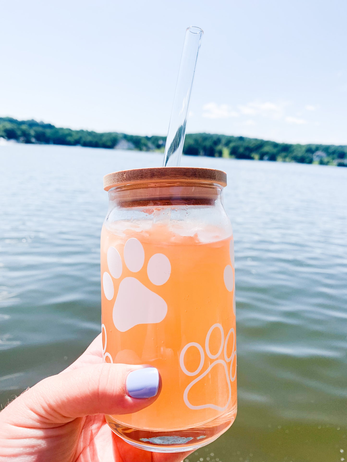 Paw Print Beer Can Glass
